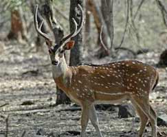 Trip To Maharashtra